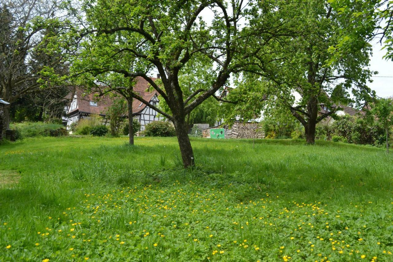 Ferienidyll Cleebourg Villa Dış mekan fotoğraf